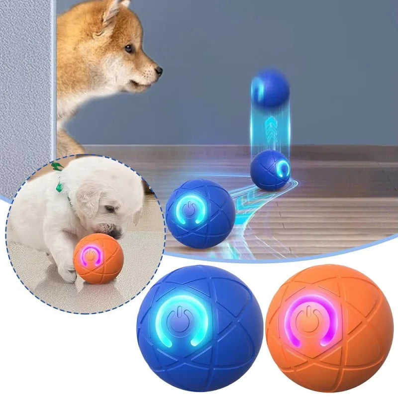 PawMotion Interactive Ball